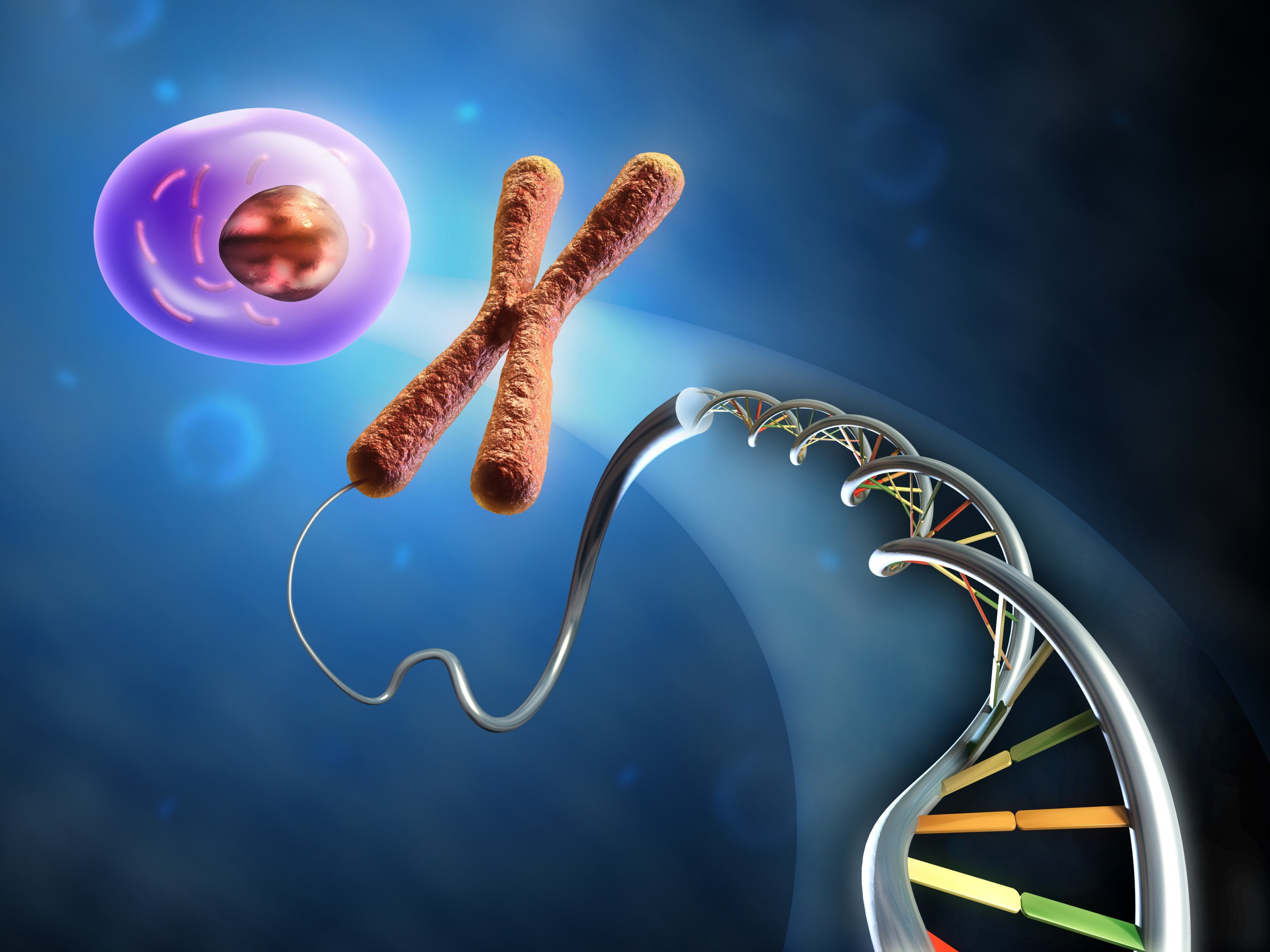 Наследственный материал хромосомы. ДНК генетика биология. ДНК гены геном. Клетка хромосома ДНК.