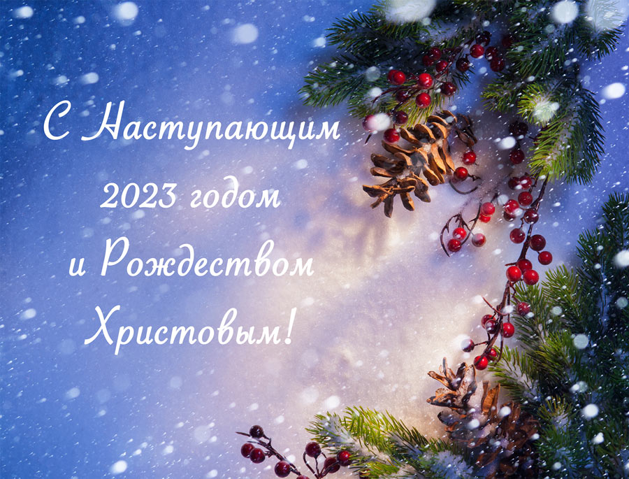 Поздравление директора филиала Шаклуновой Н.В. с наступающим Новым годом и Рождеством